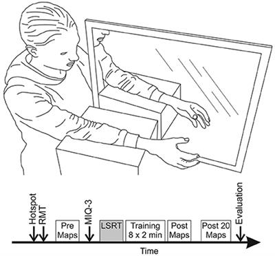 The TMS Motor Map Does Not Change Following a Single Session of Mirror Training Either with Or without Motor Imagery